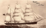nautilus